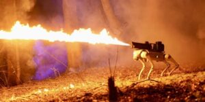 El Thermonator: Desatando el poder del fuego en cuatro patas